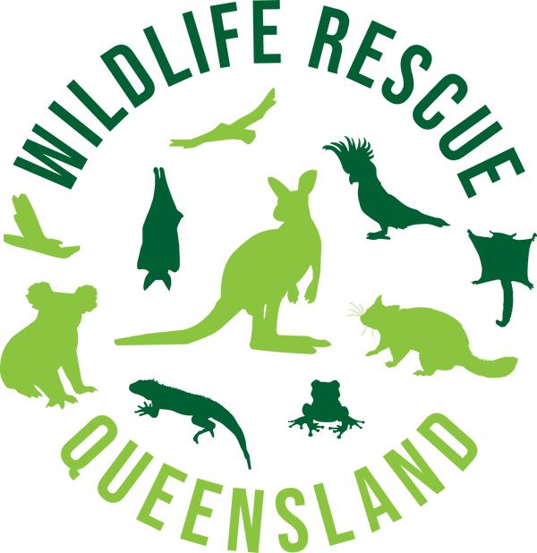 wildliferescuequeensland